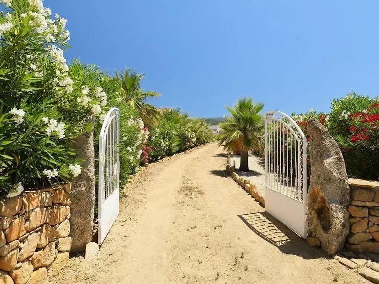 Villa Enga, With Pool, In Front Of The Sea And In The Middle Of Wineyards Badesi
